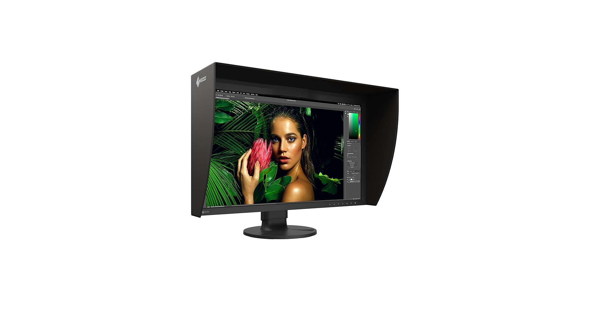 Amazon.com: EIZO ColorEdge CG2700S-BK 27